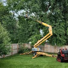 Best Hazardous Tree Removal  in Lexington Hills, CA